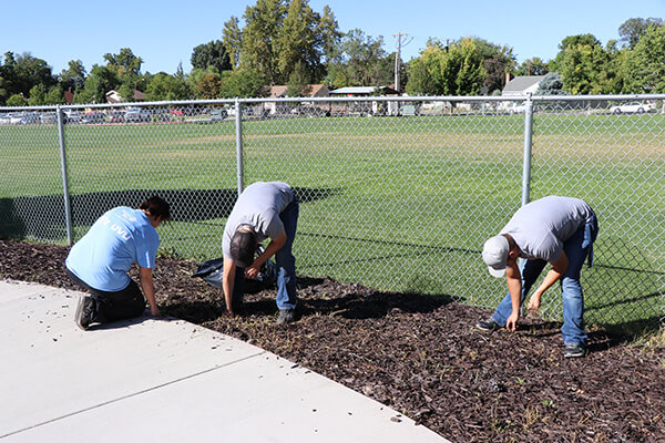 volunteers working on landscaping
