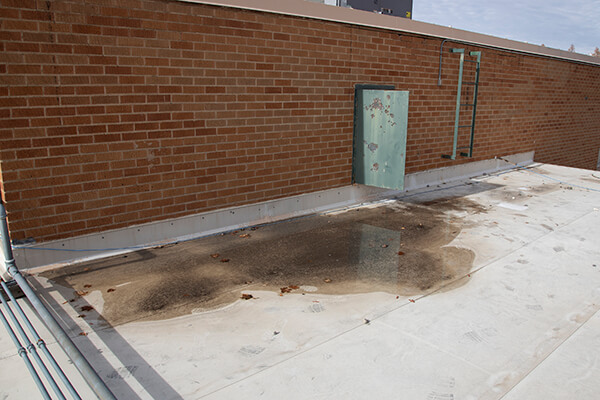 Wasatch roof