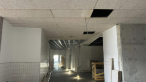 A medium shot of the Wasatch entrance hallway angled upwards so you can see the roof tilling.